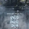আমায় তুমি ফিরিয়ে নিও ফুরিয়ে যাবার আগে (হার্ডকভার) by সালমান হাবীব (কবিতায় গল্প বলা মানুষ)