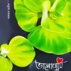 ভালোবাসি একটি কবিতার নাম (হার্ডকভার) by সালমান হাবীব (কবিতায় গল্প বলা মানুষ)